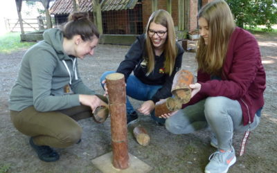 Studierende der Fachschule für Sozialwesen beim Waldtag